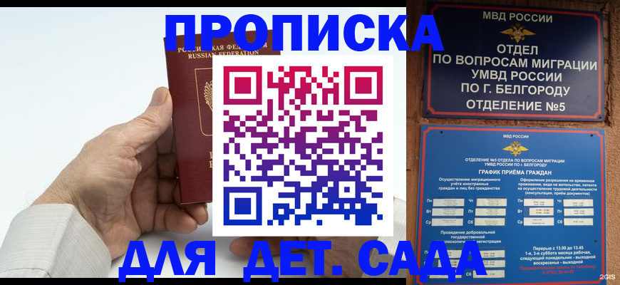 временная прописка в Королёве